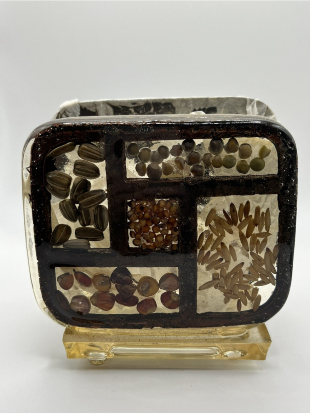 Retro 70's Lucite Resin Napkin Holder Nature Seeds Rice Acrylic Vintage Boho